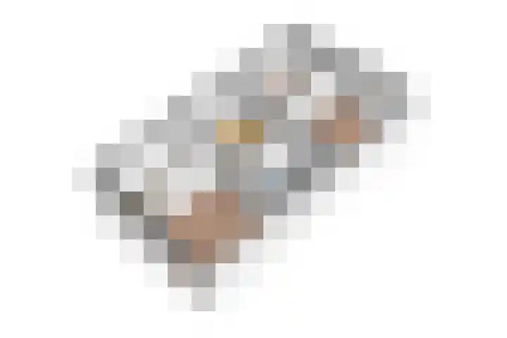 Calandostraat 21 Rosmalen thumbnail 39