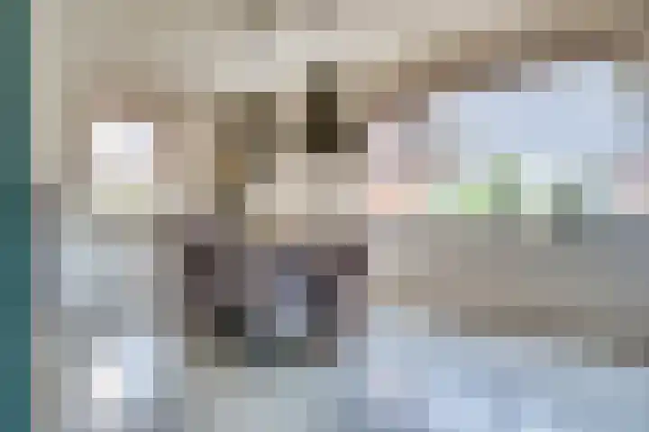 Calandostraat 21 Rosmalen thumbnail 8