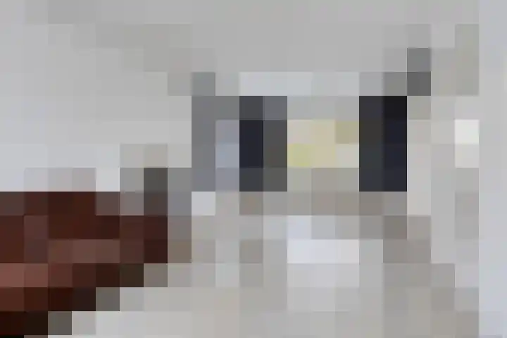 Calandstraat 1 Sas van Gent thumbnail 5