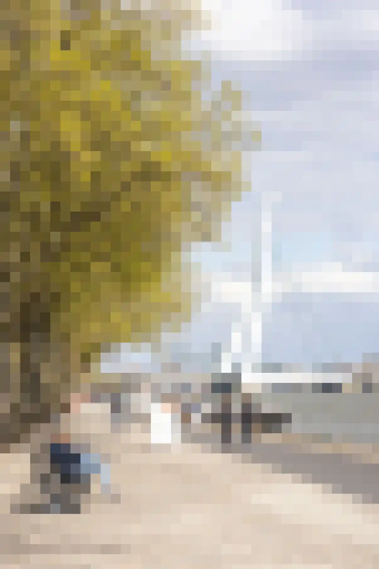 Calandstraat 10 A 02 Rotterdam thumbnail 21