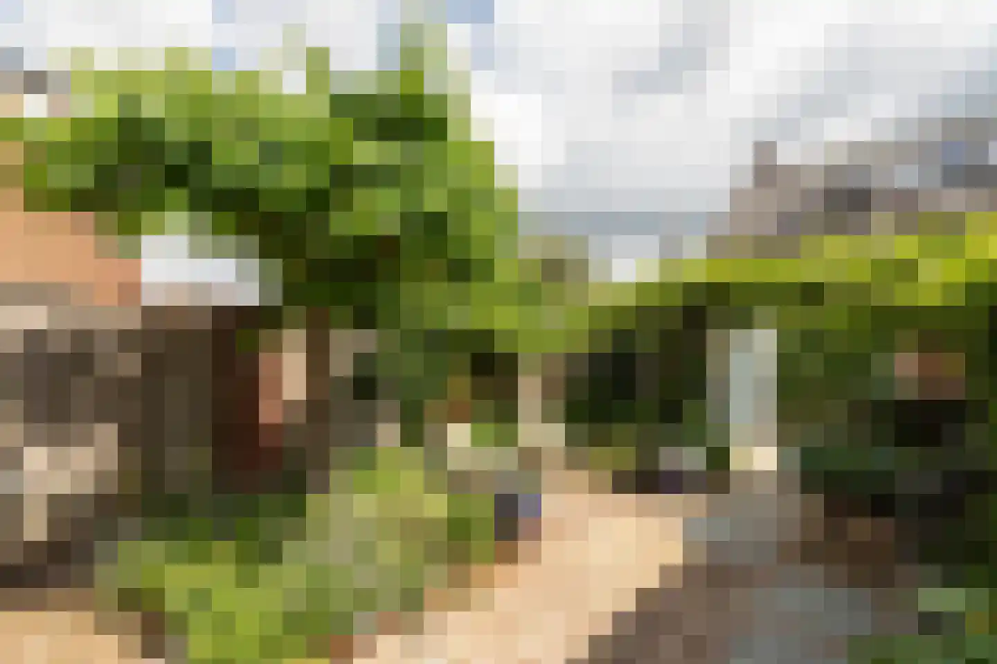 Calandstraat 11 Hilversum thumbnail 29