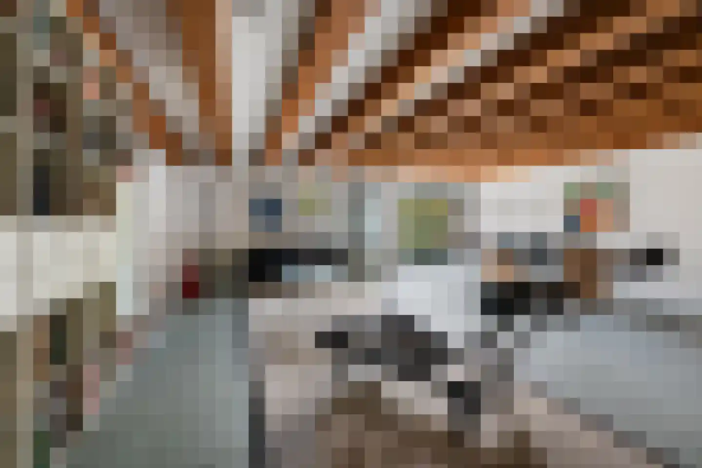 Calandstraat 20 C Rotterdam thumbnail 13