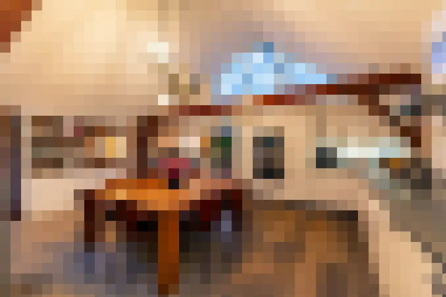 Calandstraat 20 E Rotterdam thumbnail 13