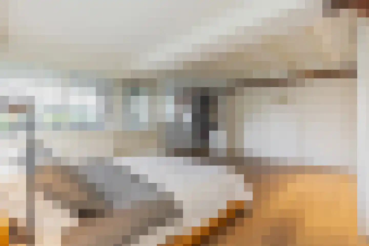 Calandstraat 20 E Rotterdam thumbnail 26