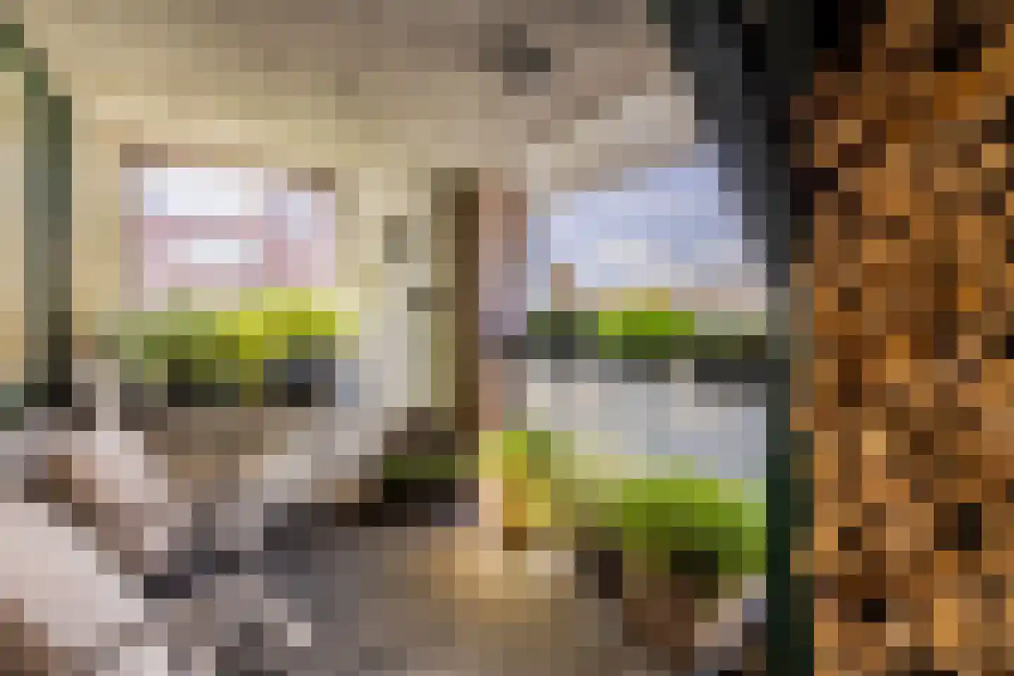 Calandstraat 20 E Rotterdam thumbnail 30