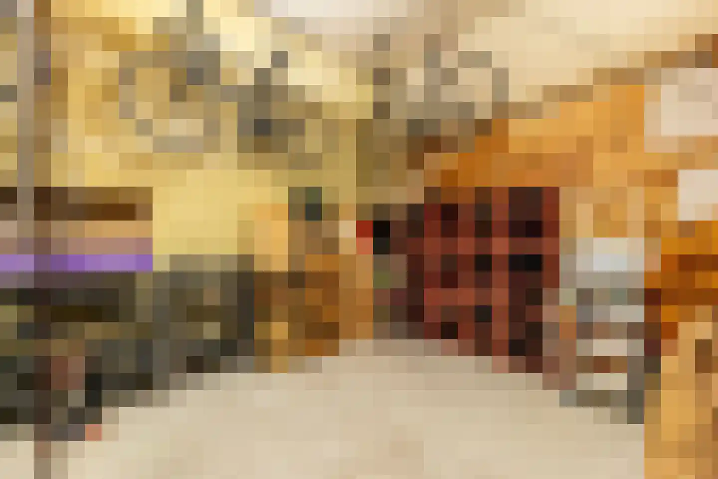Calandstraat 20 E Rotterdam thumbnail 45