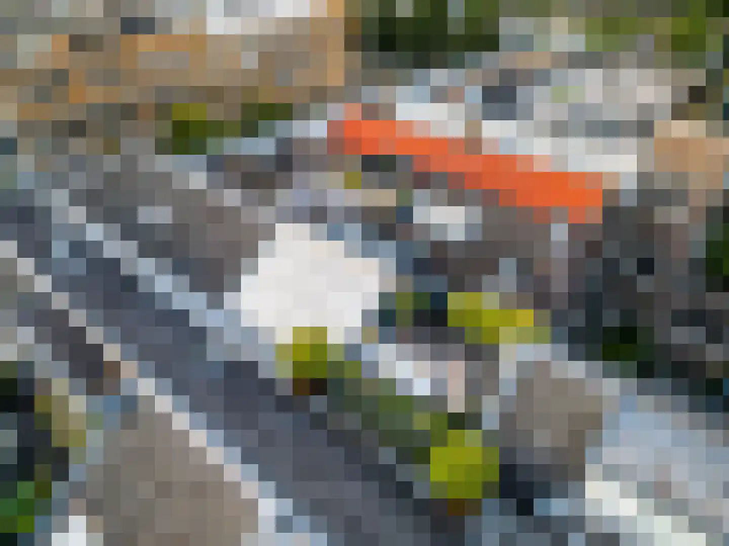 Calandstraat 20 E Rotterdam thumbnail 6