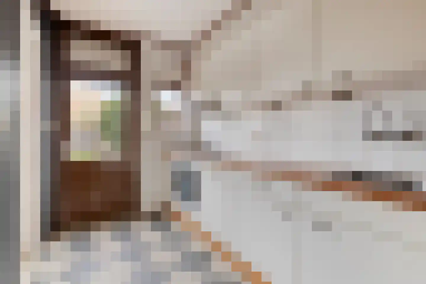 Calandstraat 21 Sas van Gent thumbnail 10