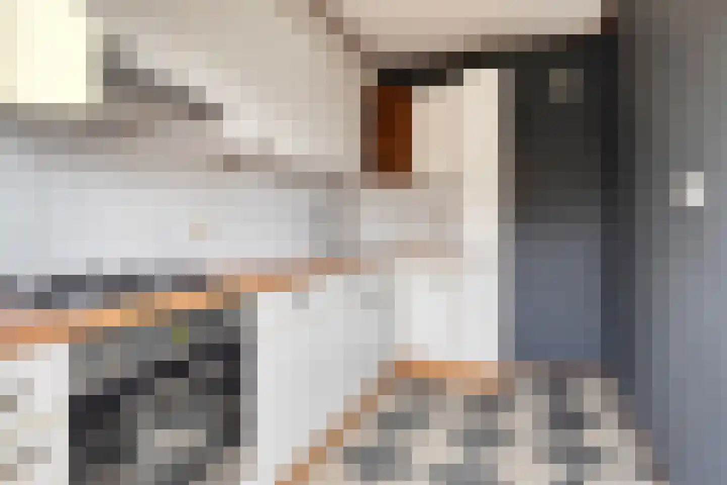 Calandstraat 21 Sas van Gent thumbnail 12