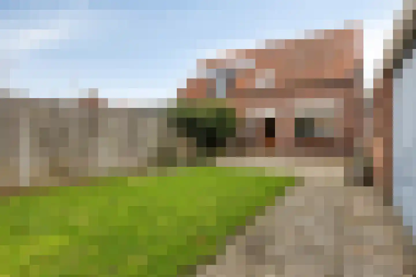 Calandstraat 21 Sas van Gent thumbnail 22