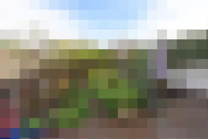 Calandstraat 23 Hilversum thumbnail 5