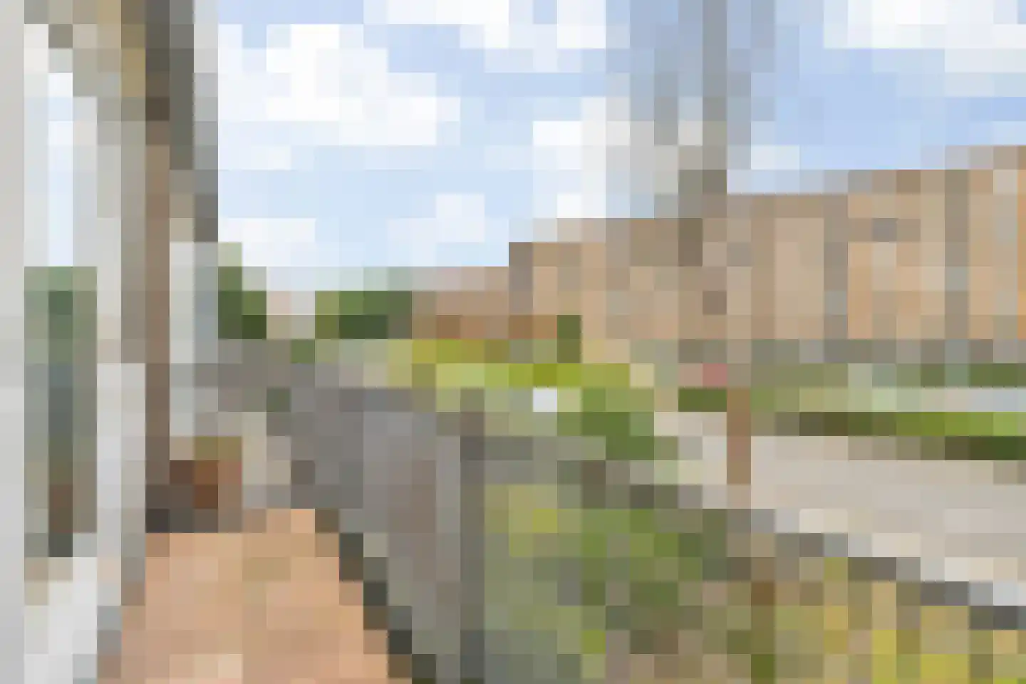 Calandstraat 38 Breda thumbnail 35