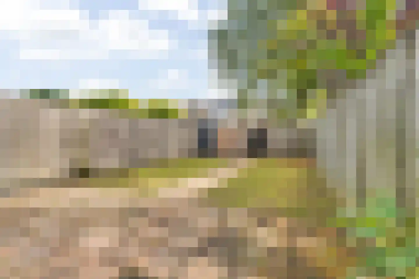 Calandstraat 38 Breda thumbnail 42