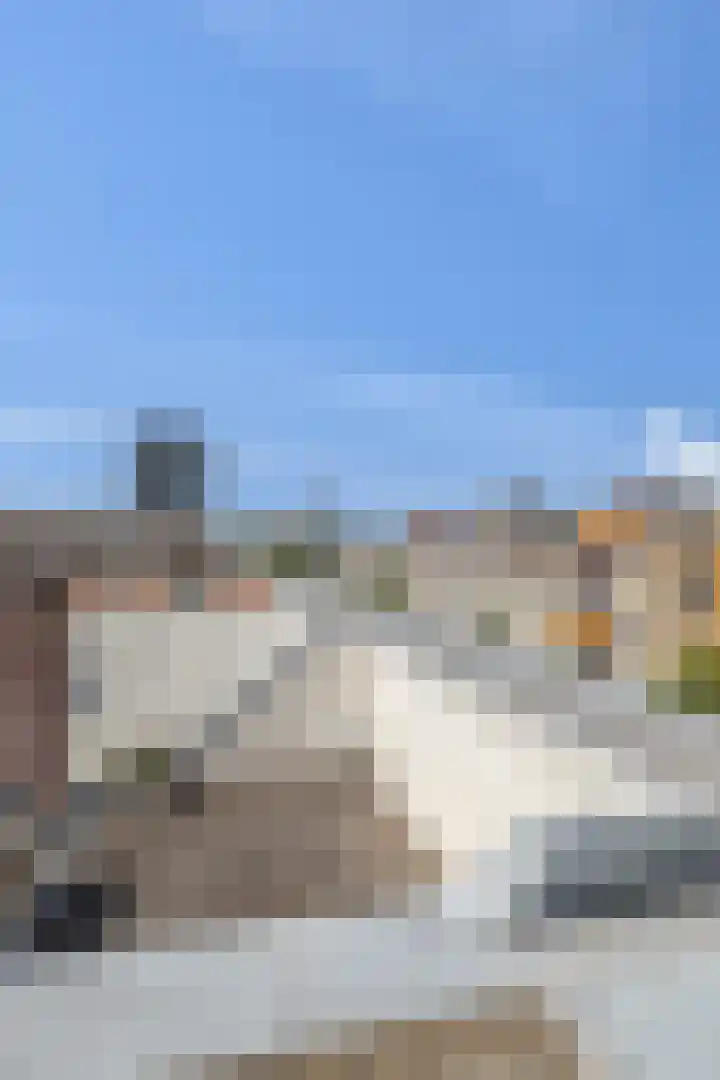 Calandstraat 4 Rotterdam thumbnail 34