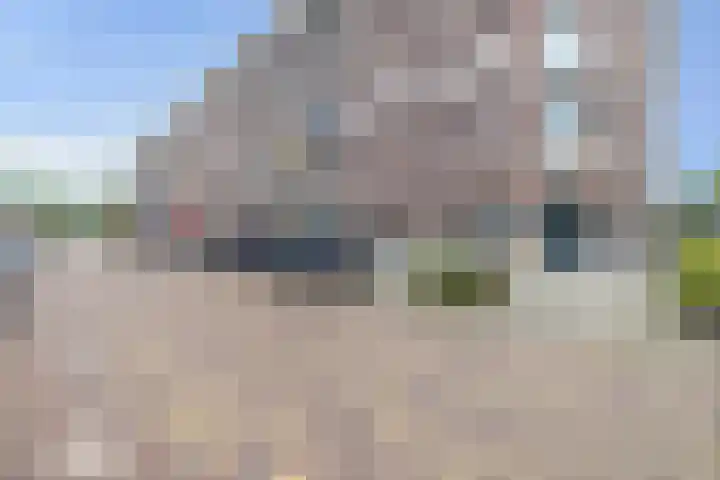 Calandstraat 4 Rotterdam thumbnail 7