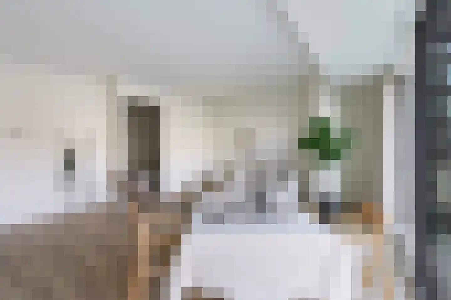Calandstraat 41 H Rotterdam thumbnail 5