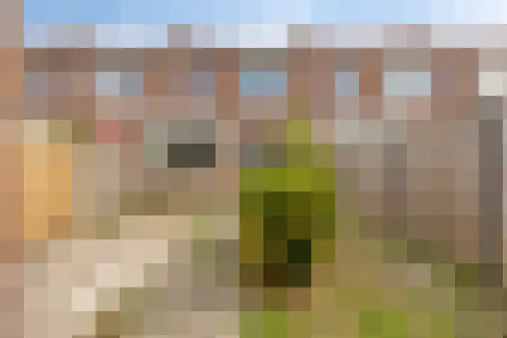 Calandstraat 41 Vlissingen thumbnail 27