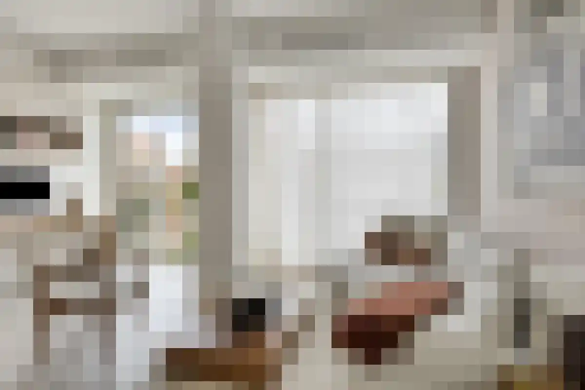 Calandstraat 45 Rotterdam thumbnail 6
