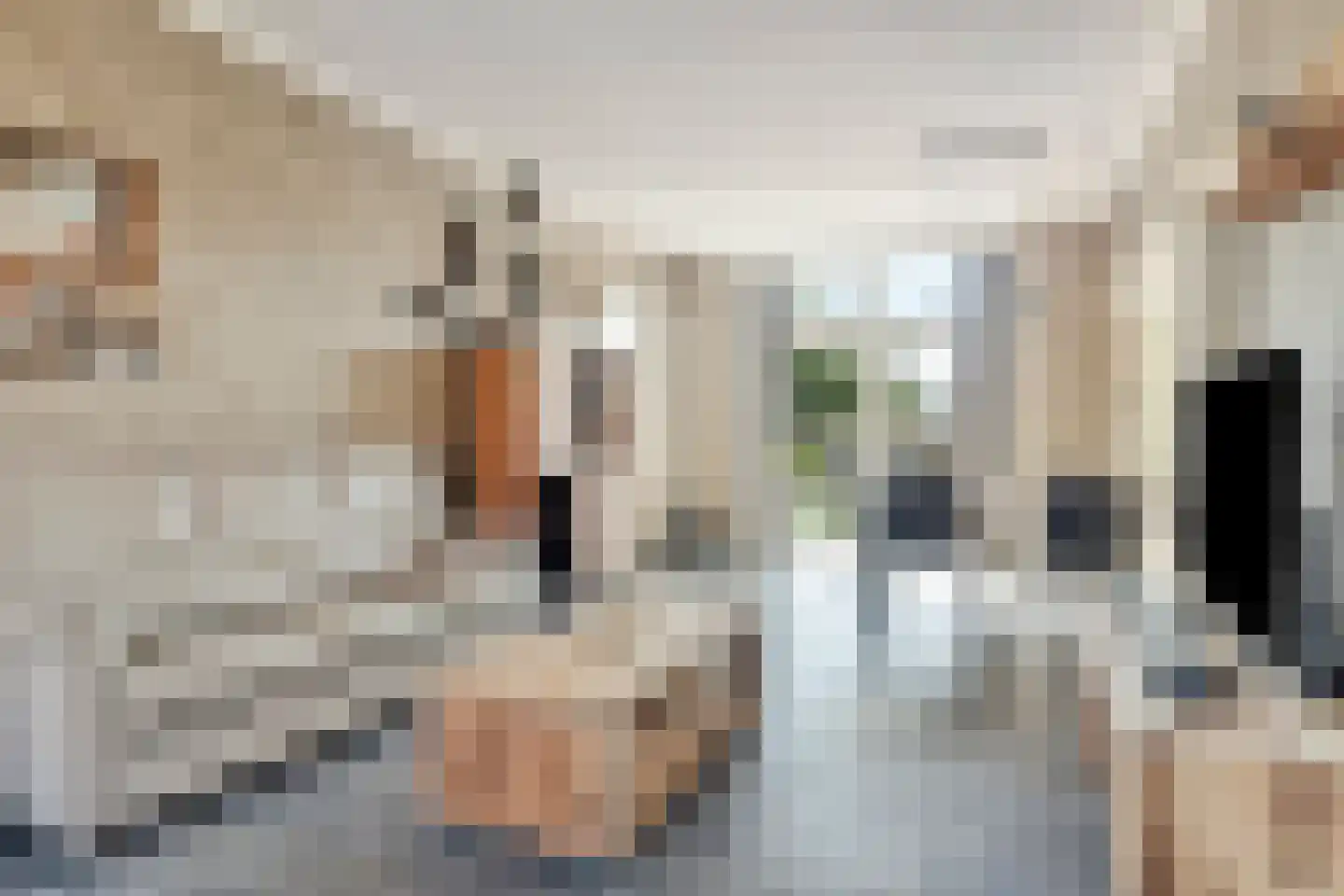 Calandstraat 5 Sas van Gent thumbnail 15