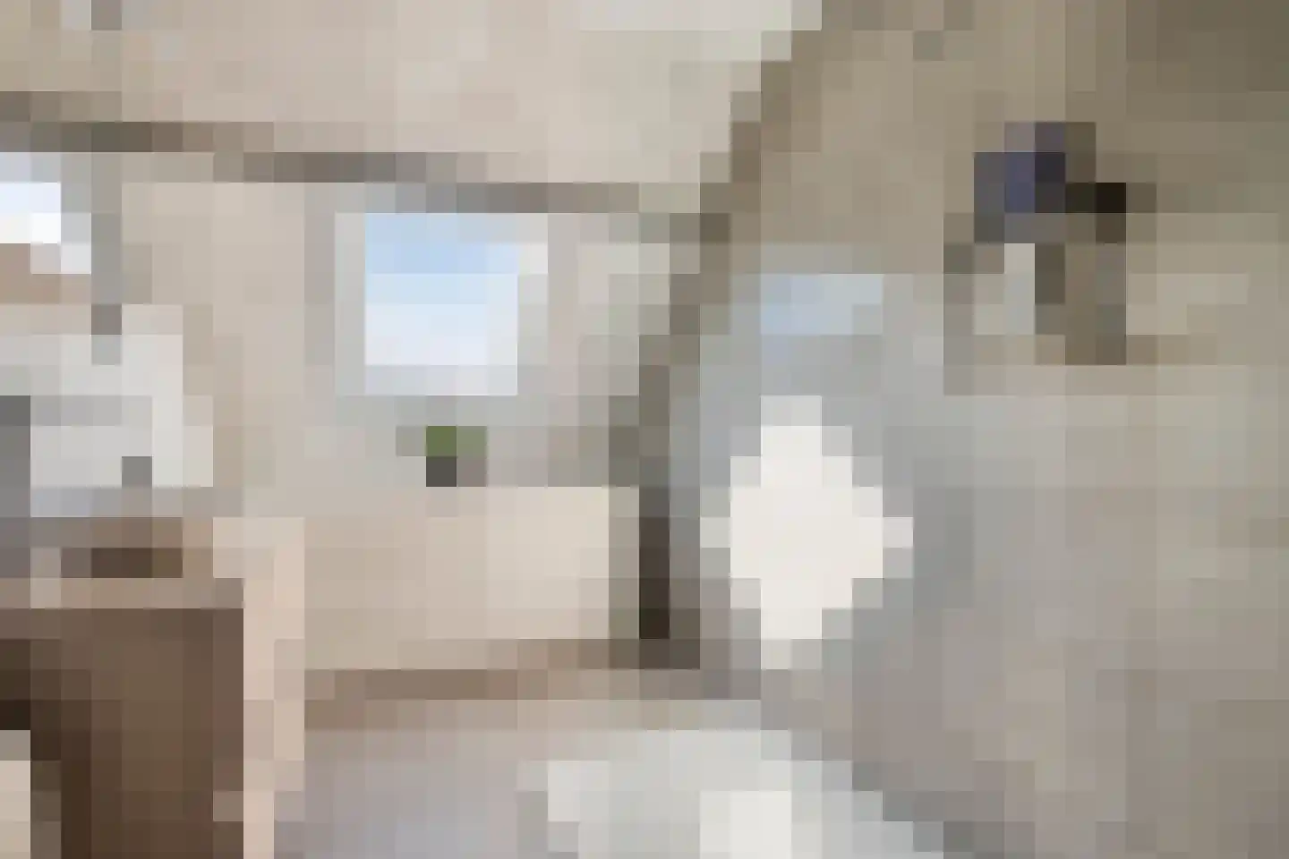 Calandstraat 5 Sas van Gent thumbnail 25