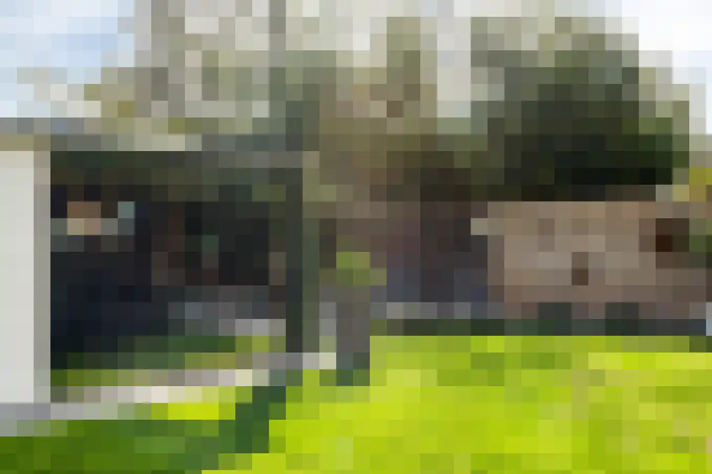 Calandstraat 5 Sas van Gent thumbnail 30