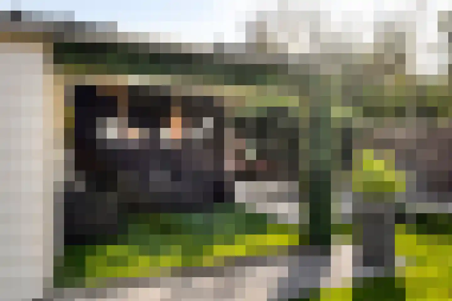 Calandstraat 5 Sas van Gent thumbnail 31