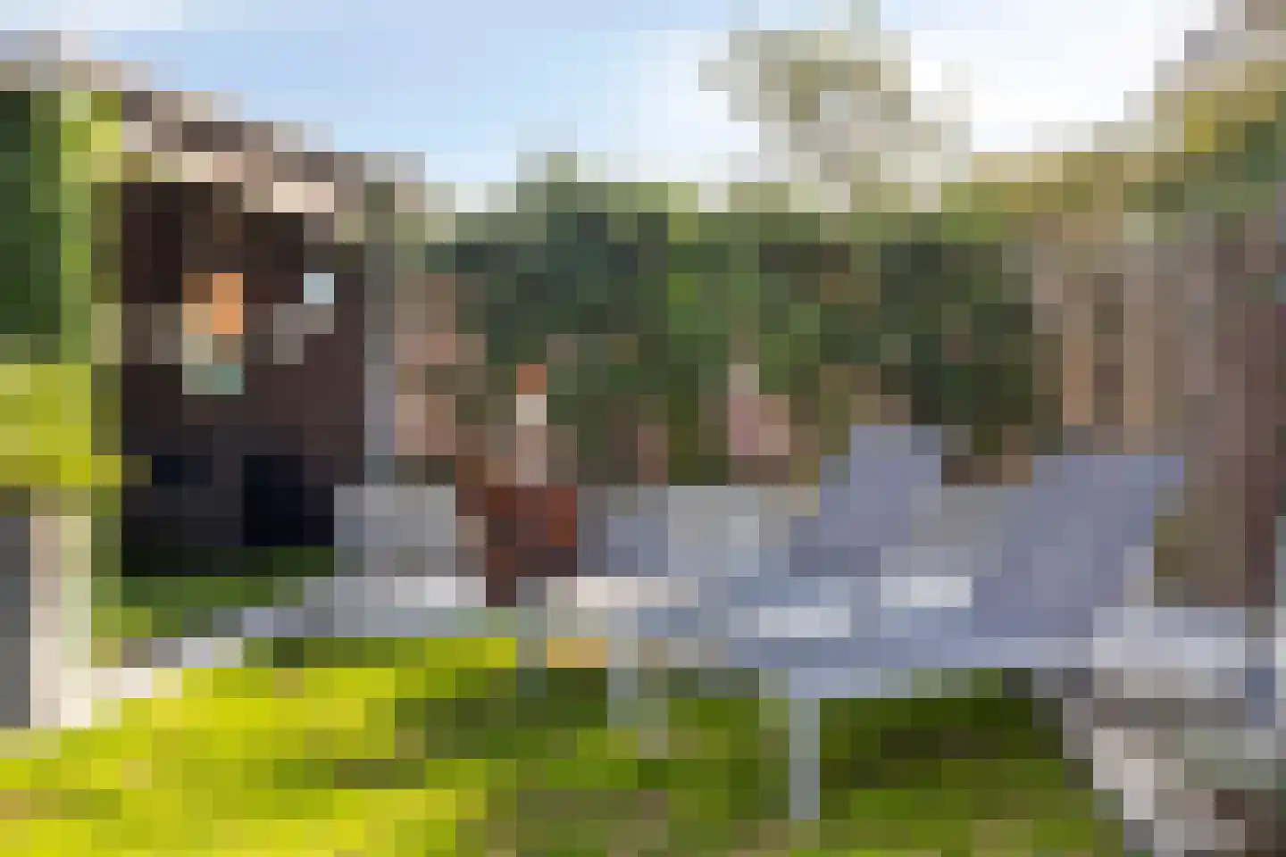 Calandstraat 5 Sas van Gent thumbnail 32