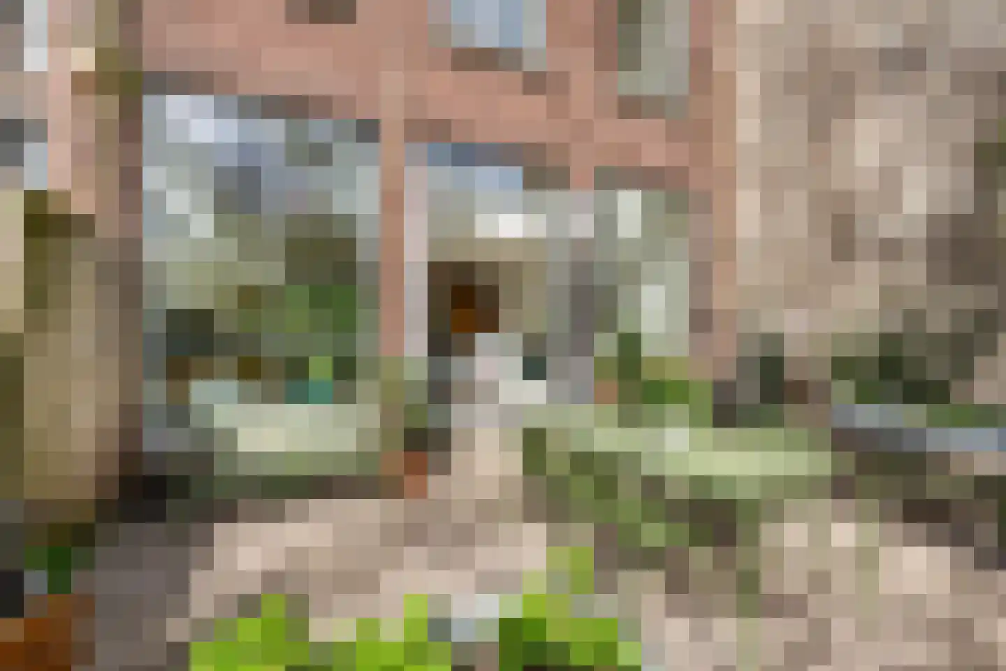 Calandstraat 56 D Rotterdam thumbnail 39