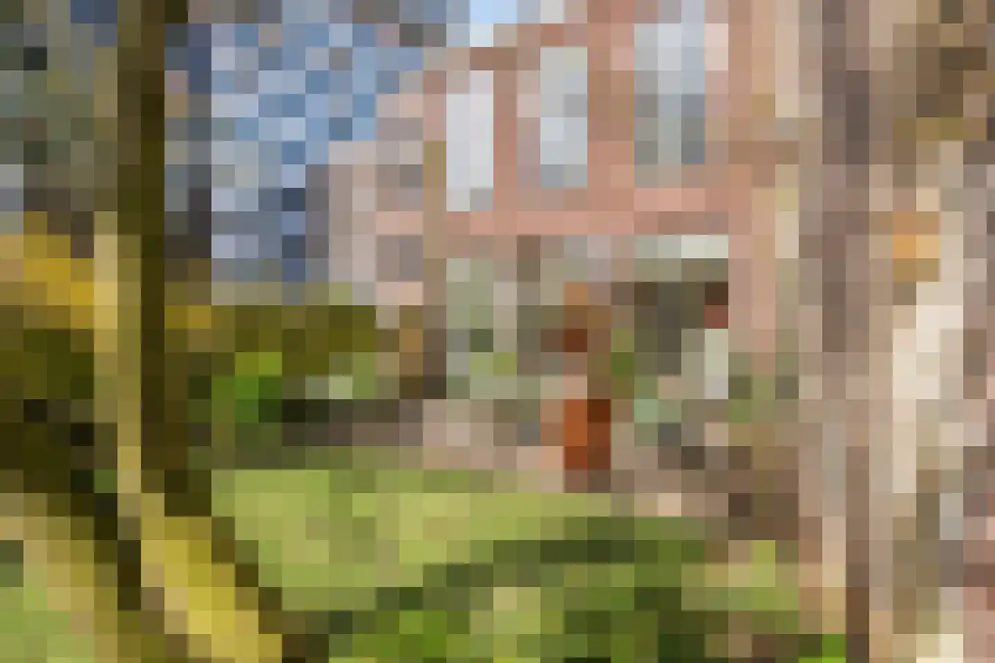 Calandstraat 56 D Rotterdam thumbnail 40