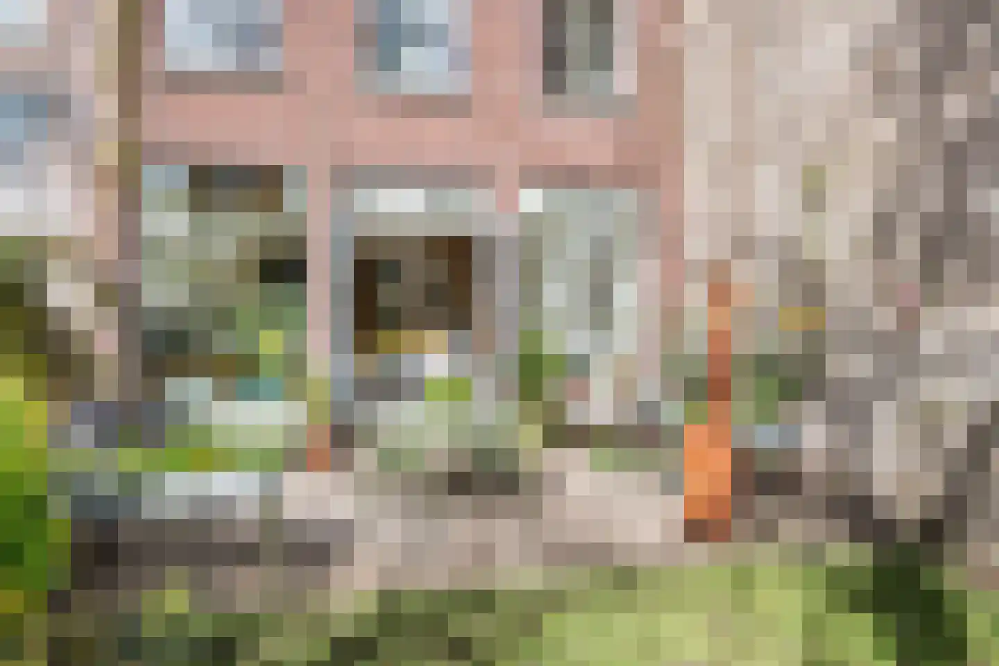 Calandstraat 56 D Rotterdam thumbnail 41