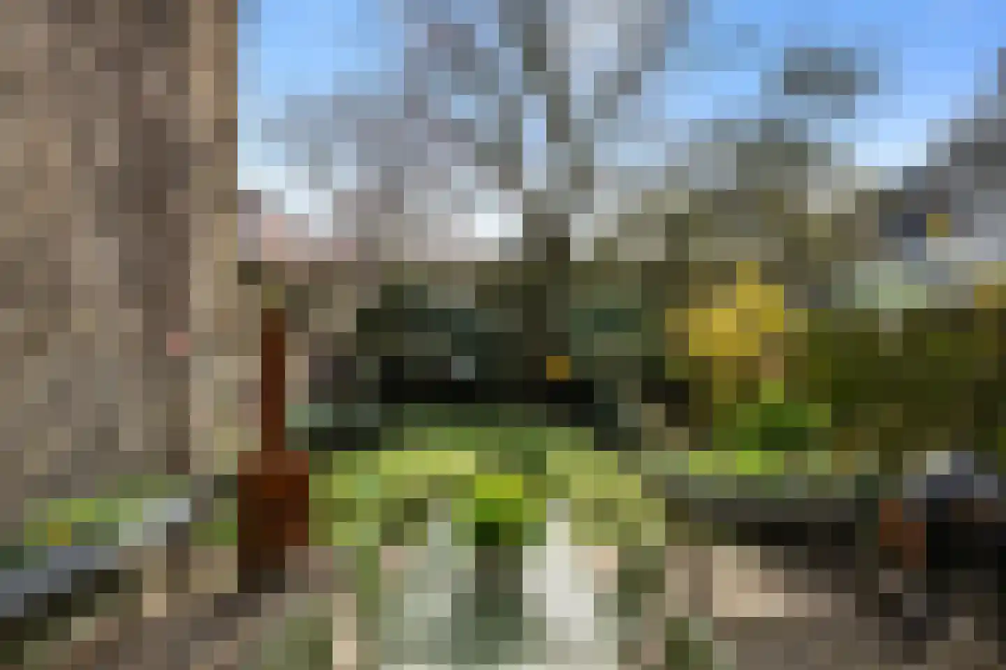 Calandstraat 56 D Rotterdam thumbnail 44