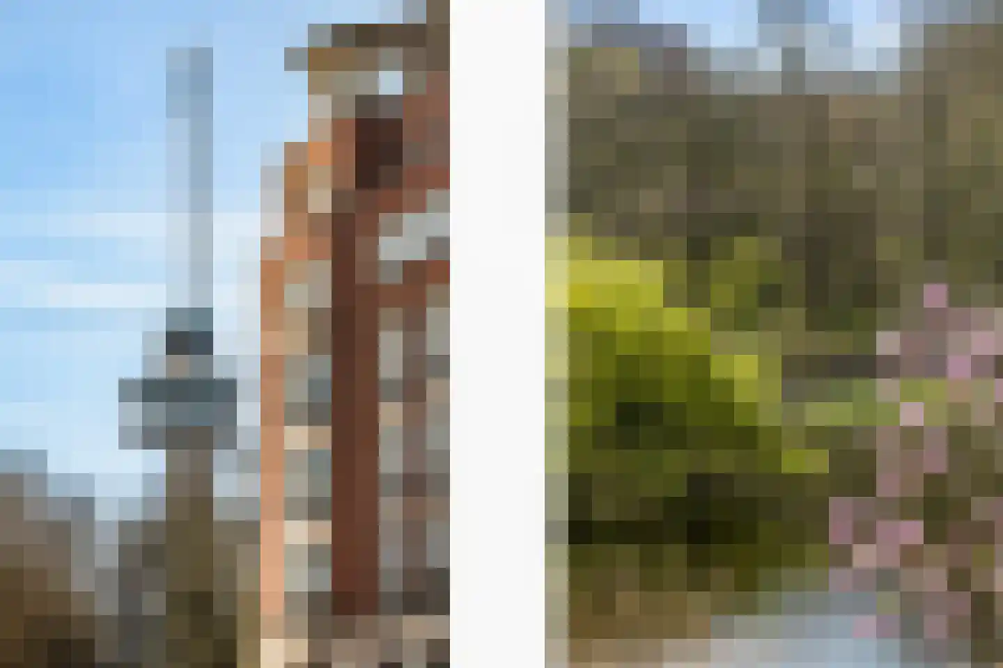Calandstraat 56 D Rotterdam thumbnail 50