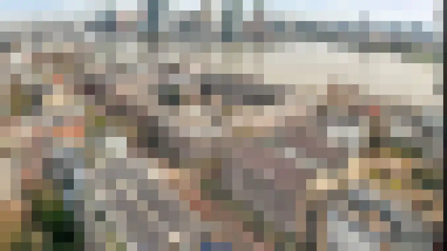 Calandstraat 58 E Rotterdam thumbnail 55