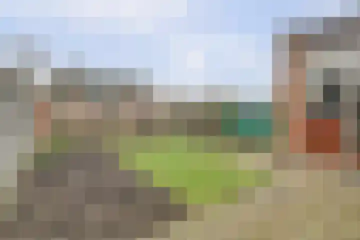 Calandweg 2 Zierikzee thumbnail 33