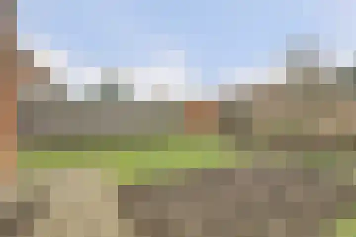 Calandweg 2 Zierikzee thumbnail 35