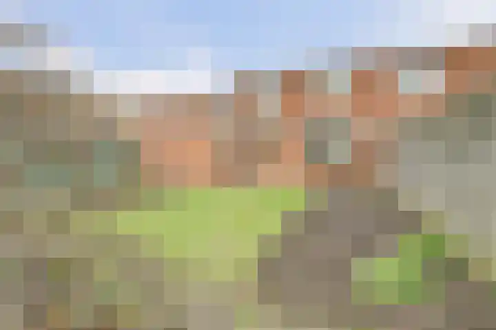 Calandweg 2 Zierikzee thumbnail 36
