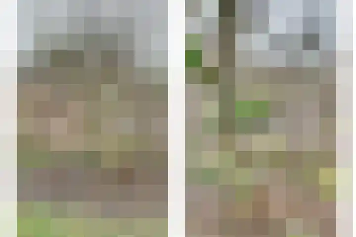 Calandweg 2 Zierikzee thumbnail 37