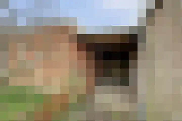 Calandweg 2 Zierikzee thumbnail 38