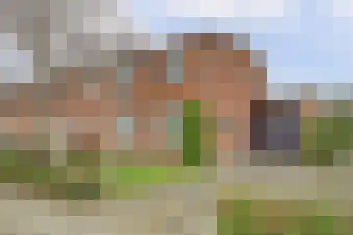 Calandweg 2 Zierikzee thumbnail 4
