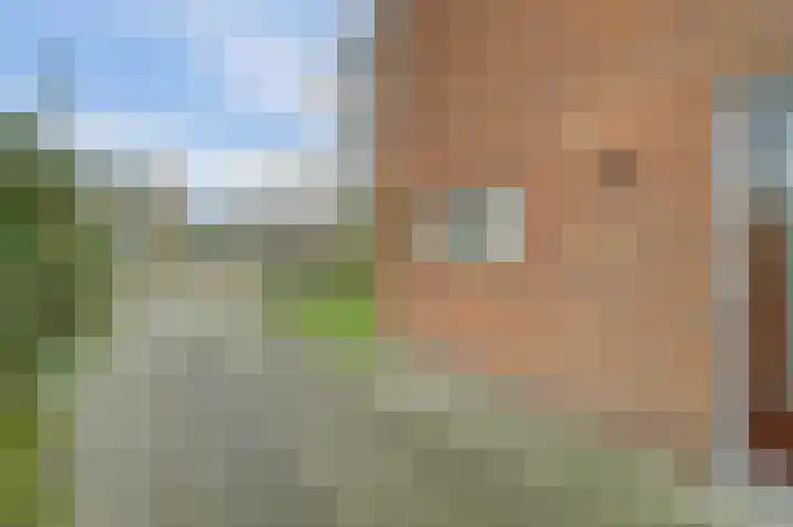 Calandweg 2 Zierikzee thumbnail 5
