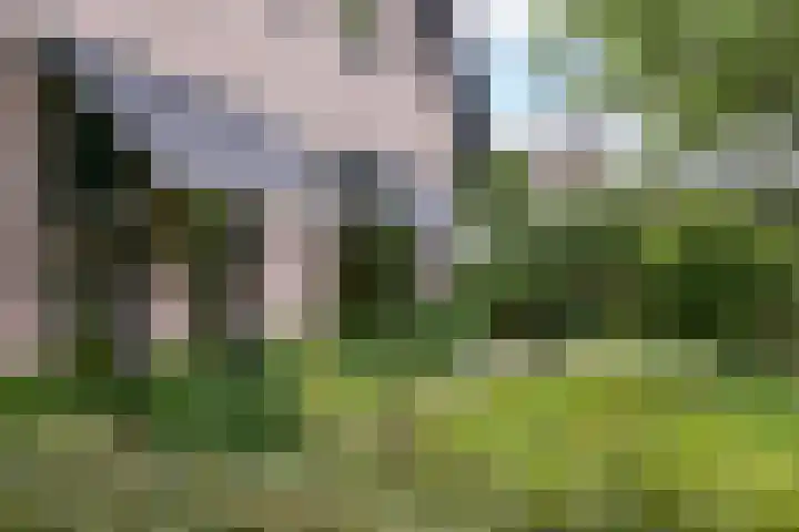 Calcariaweg 27 Putten thumbnail 4