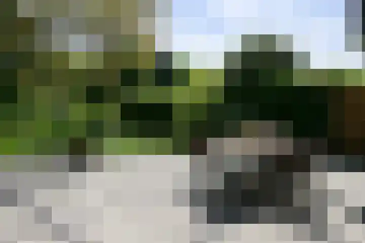 Calcariaweg 27 Putten thumbnail 42