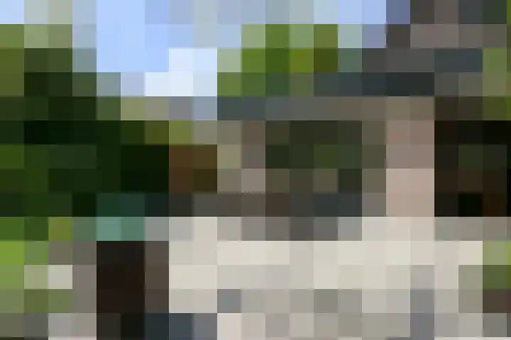 Calcariaweg 27 Putten thumbnail 43