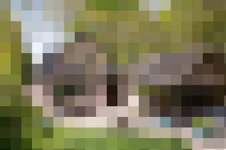 Calcariaweg 27 Putten thumbnail 44