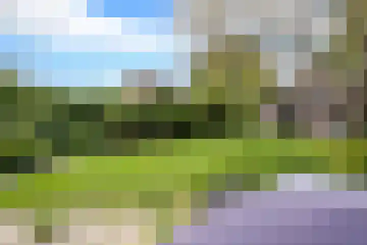 Calcariaweg 27 Putten thumbnail 45