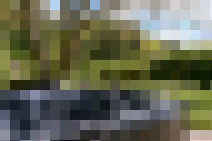 Calcariaweg 27 Putten thumbnail 55