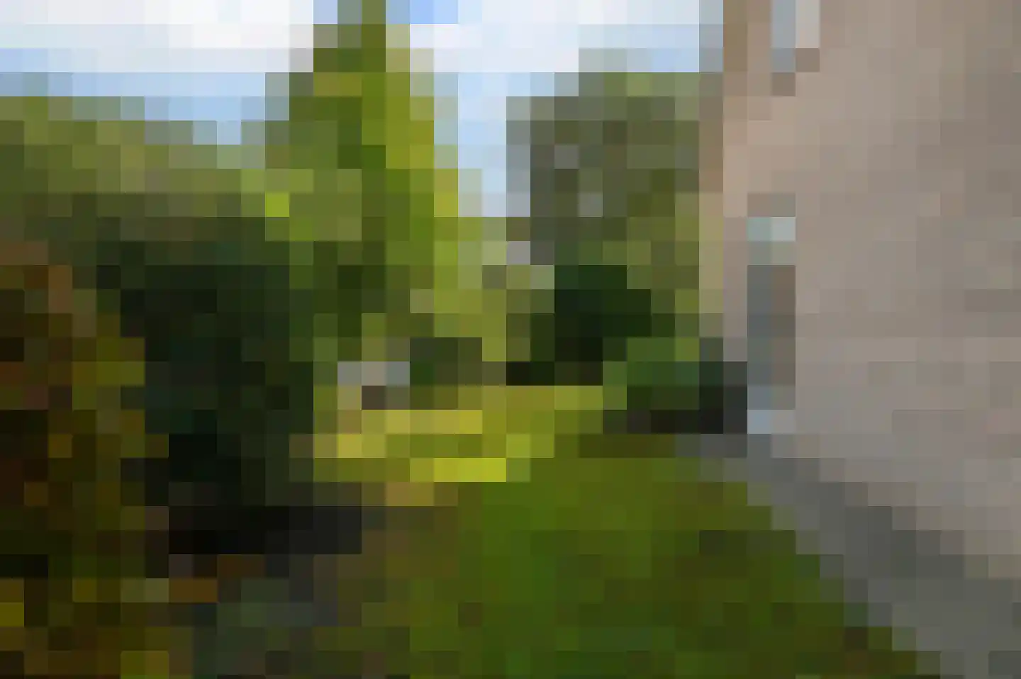 Calcariaweg 40 Putten thumbnail 24
