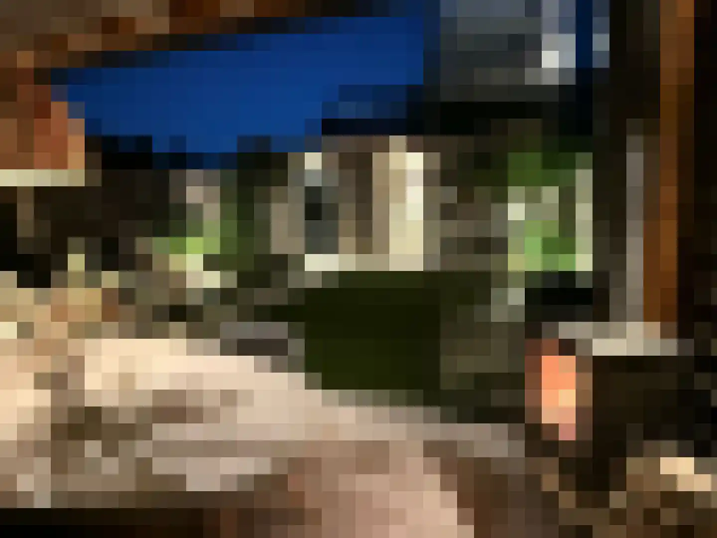 Calchaslaan 34 Eindhoven thumbnail 59