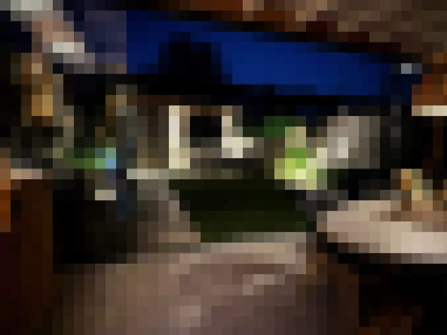 Calchaslaan 34 Eindhoven thumbnail 61