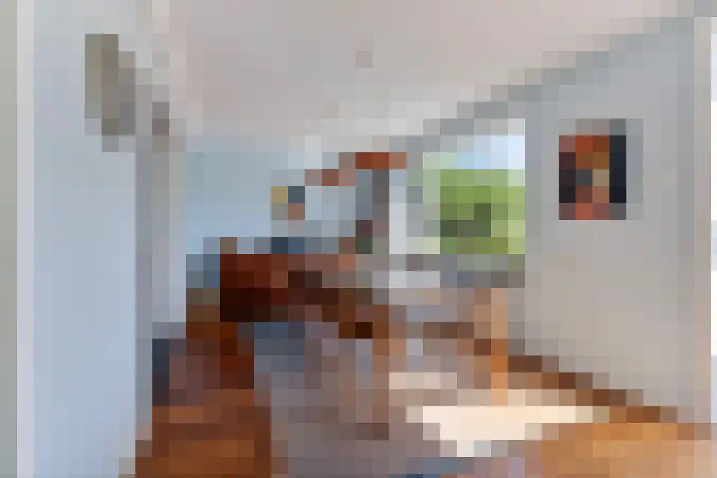 Caldenbornstraat 1 Voerendaal thumbnail 11
